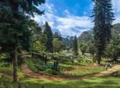 Ooty - Coonoor Tour Package 3N - 4D