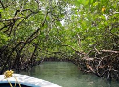 4N 5D Explore Baratang And Havelock Island Tour