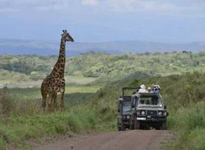 8 Days Tanzania Safari Package