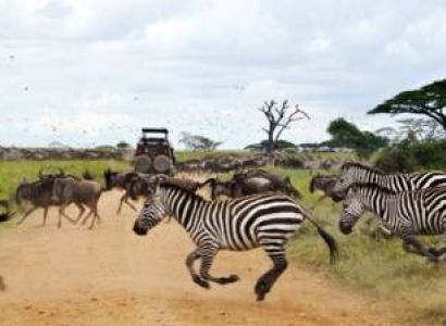 10N - Day Wise Tanzania Package