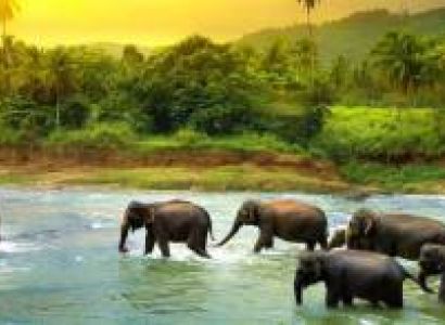 SRI LANKA TOUR ITINERARY- 06 NIGHTS / 07 DAYS