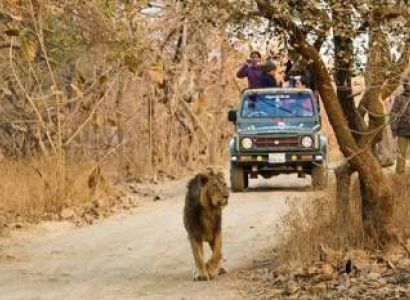 Junagadh - Somnath Tour Package 2 Night - 3 Days