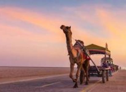 Infinity Gujarat Wild Heritage Trail