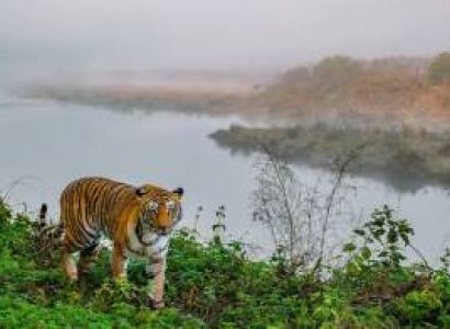 Kaziranga - Meghalaya Tour 8N - 9D