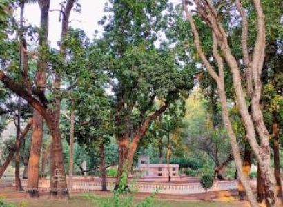Santiniketan Group Tour 2 Nights - 3 Days