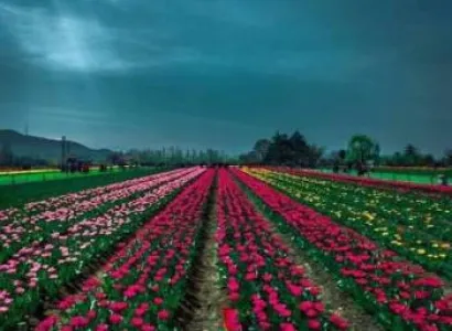 Kashmir Package For 4 Nights And 5 Days