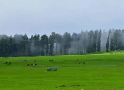 Kashmir Package For 5 Nights And 6 Days