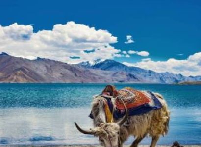 Ladakh Package For 6 Nights And 7 Days