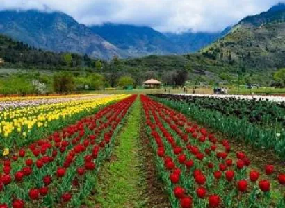 Srinagar Tour Package 4D - 3N