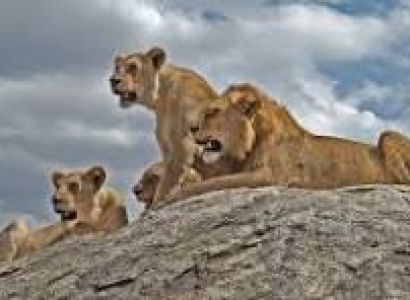 2 Nights 3 Days Fly-in Tour