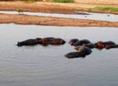 3 Days 2 Nights Southern Circuit - Ruaha Tour By Drive