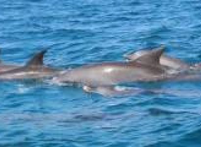 7 Days - 6 Nights Zanzibar Cultural Package