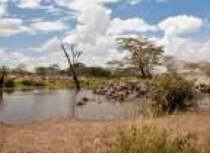 9 Days - 8 Nights Northern Circuit - Zanzibar Tour