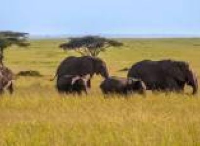 14 Days - 13 Nights Safari - Zanzibar Combination Tour