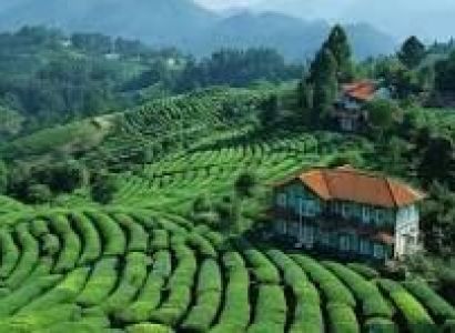 Ooty 3-Day Itinerary With Coonoor Day Trip