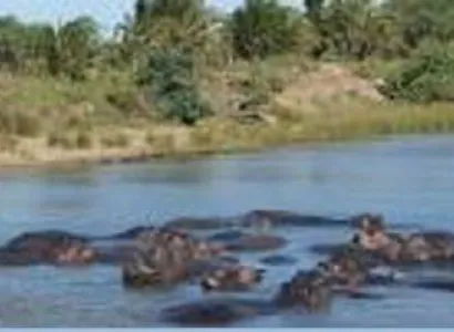 Hluhluwe - St Lucia Tour - Full House