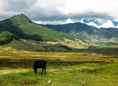10 Nights - 11 Days Bhutan Tour Package