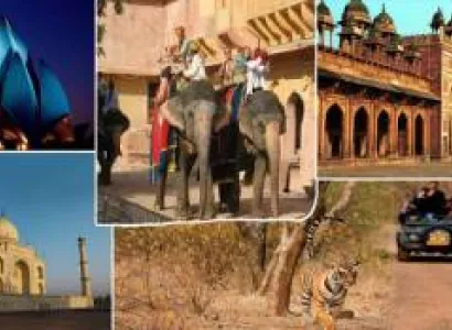 7N 8D Golden Triangle Tour With Ranthambore