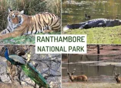 3N 4D Wildlife - Forts - Ranthambore - Jaipur Tour