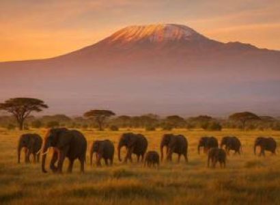 3D Amboseli Lodge Safari - Kilimanjaro - Backed Elephant Encounters Tour