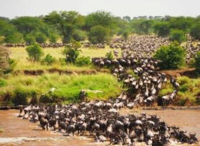 3D Maasai Mara Lodge Safari - Classic Mara Lodge Experience Tour