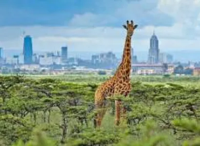3N 4D Nairobi - Masai Mara Game Reserve Tour