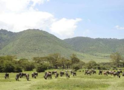5 Days Tanzania Safari Tour
