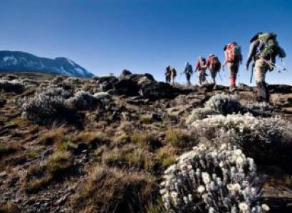 5 Days Kilimanjaro - Marangu Route Tour