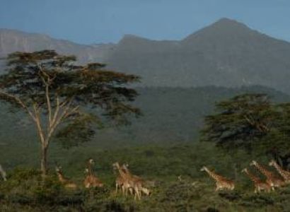 Arusha Luxury Tour Package - 6 Days