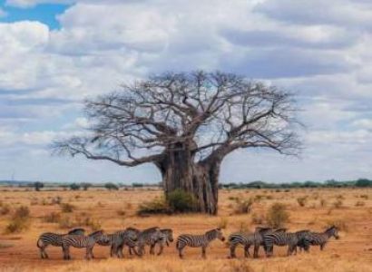 7 Days Arusha & Ngorongoro Tour Package - Luxury