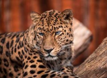 7 Days Arusha Luxury Tour Package