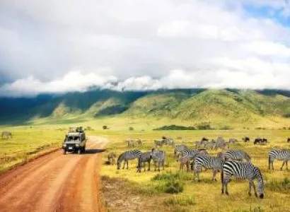 12 Day Premium Safari And Beach Tour