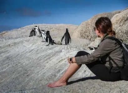 Southern Ocean Cape Escape - Western Cape - Cape Town - South Africa Tour