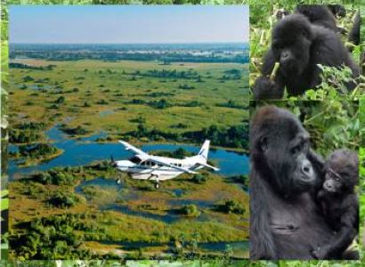 3 Day Into The Heart Of Bwindi - Gorilla Safari Tour