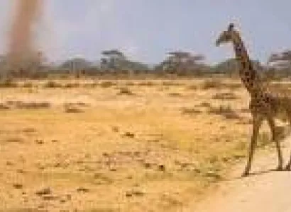 3 Days Amboseli Flying Package - Land of Giants