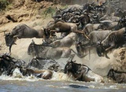 3-Day Masai Mara Group Joining 4x4 Safari