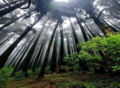 2 Night 3 Days Mirik Package