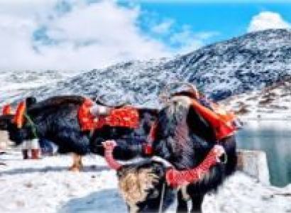 5 Night 6 Days Gangtok - Pelling - Namchi - Ravangla Package
