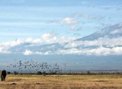 8 Days Kilimanjaro Shira Route Tour