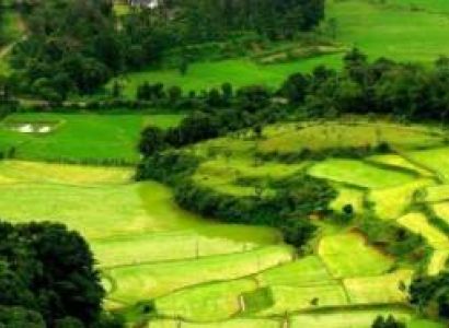 Karnataka Tour Mysuru 1N - Coorg 2N - Bengaluru 1N