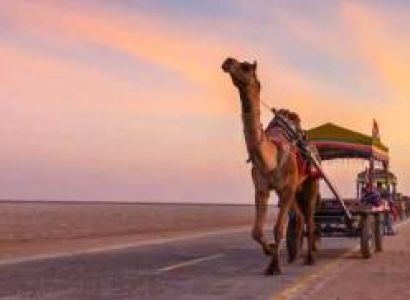 Gujarat Tour Vadodara 1N - Kevadia 1N