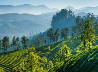 3N 4D Darjeeling Tour - Queen Of Hills