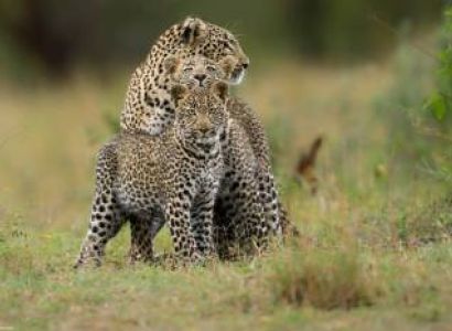 12-Day Spirit & Soul of Kenya and Tanzania Epic Safari