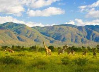12-Day Kenya & Tanzania Wildlife and Beach Tour Zanzibar