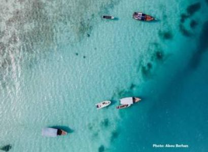 12-Day Kenya & Tanzania Wildlife and Beach Tour Zanzibar