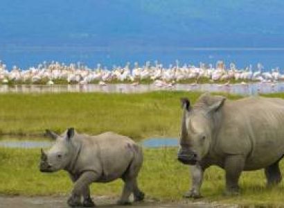 5-Day Lake Nakuru - Maasai Mara Safari Tour