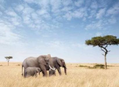 10-Day East Africa Safari Adventure Tour
