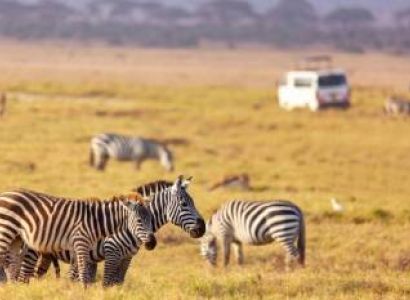 4-Day Mara & Nakuru Group Sharing