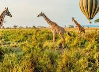 6 Days /5 Nights Tanzania safari In Northern Circuit