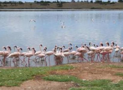 9 Days Kenya cultural Immersion and Masai Mara Safari
